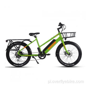 Wyprzedaż roweru elektrycznego XY-WAGON